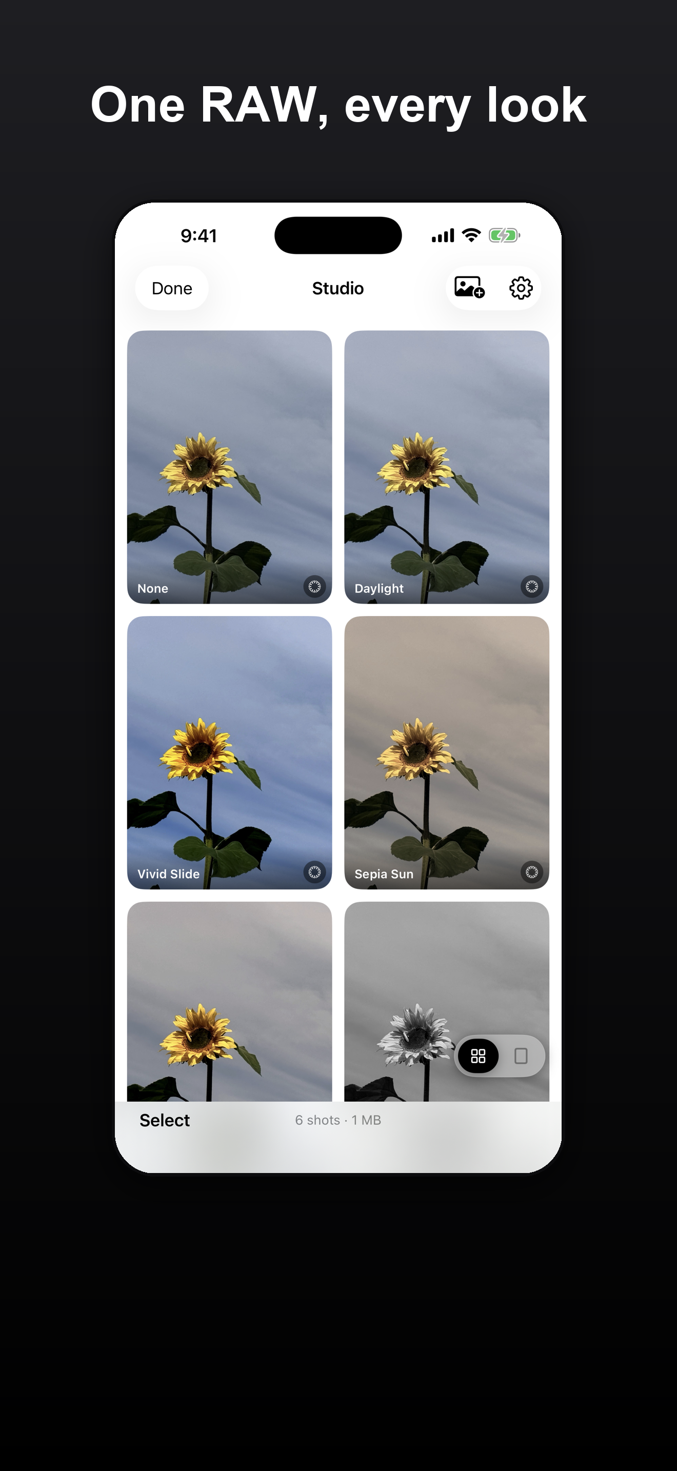 One RAW shot shown in many Microprism looks