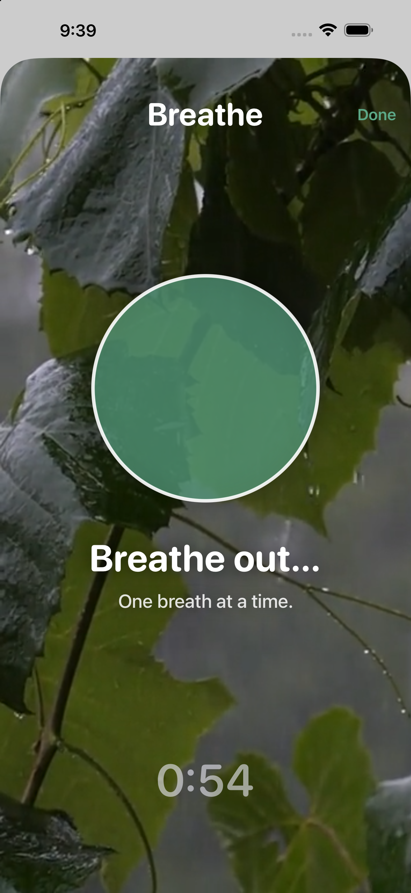 Breathe screen with a calming rainfall and a breathing circle